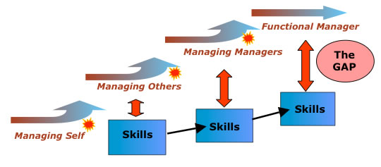 Skills Often Lag Behind Career Progression